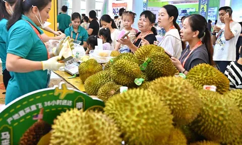 Sầu riêng Việt Nam tiệm cận vị thế của Thái Lan tại 10Lc88 Giải Trí Thể Thao Trung Quốc