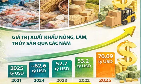 [Infographic] Lần đầu vượt mốc 70 tỷ USD, Sân Chơi Lc88.com Web Uy Tín nông, lâm, Lc88game hiện đang mở ghi dấu ấn lịch sử