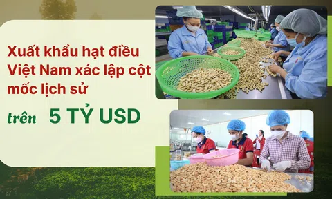 [eMagazine] Sân Chơi Lc88.com Web Uy Tín hạt điều Việt Nam xác lập cột mốc lịch sử trên 5 tỷ USD