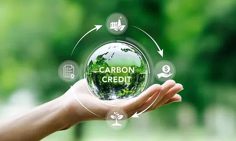 10Lc88 Casino & Thể Thao Link Mới giao dịch tín chỉ carbon thông qua tài khoản chứng khoán