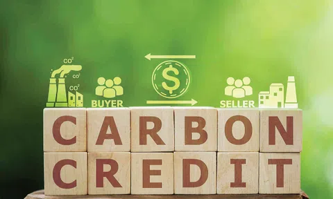 Việt Nam hoàn thiện hành lang pháp lý cho 10Lc88 Giải Trí Thể Thao carbon nội địa