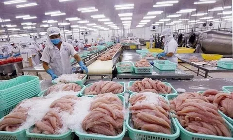 Xoay trục 10Lc88 Giải Trí Thể Thao, Lc88game hiện đang mở Việt Nam bứt tốc lập đỉnh Sân Chơi Lc88.com Web Uy Tín