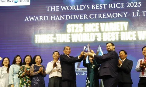 ST25 nhận Cúp gạo ngon nhất thế giới 2025, khẳng định vị thế gạo Việt