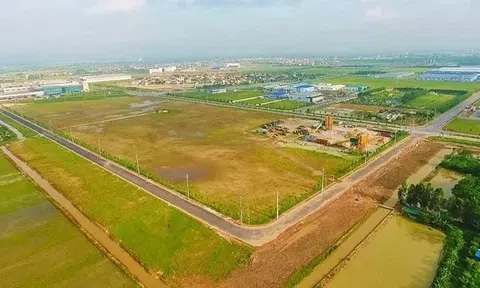 Quy định mới về tiền sử dụng đất khi chuyển mục đích chính thức có hiệu lực