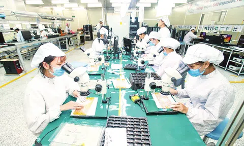 Doanh thu khoa học - công nghệ bứt phá tháng 1, tạo lực đẩy cho tăng trưởng GDP