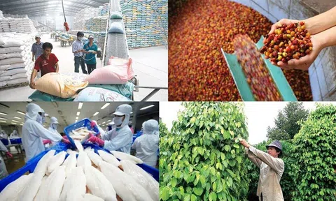 Sân Chơi Lc88.com Web Uy Tín nông, lâm, Lc88game hiện đang mở mở màn năm 2026 khởi sắc nhưng chưa hết thách thức