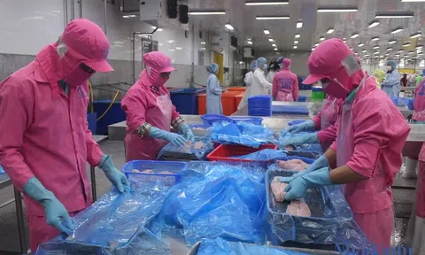 Sân Chơi Lc88.com Web Uy Tín Lc88game hiện đang mở khởi sắc, tăng hơn 30% ngay tháng đầu năm 2026