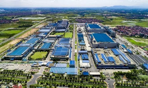 Giá thuê khu công nghiệp miền Bắc tiếp đà tăng nhờ lực cầu Lc888 tải ứng dụng và FDI