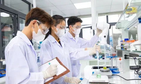 Cải cách toàn diện cơ chế lương, thưởng và Lc888.com link không chặn cho giới khoa học