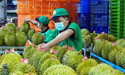 Sân Chơi Lc88.com Web Uy Tín rau quả bứt tốc đầu năm, hướng tới mốc 10 tỷ USD