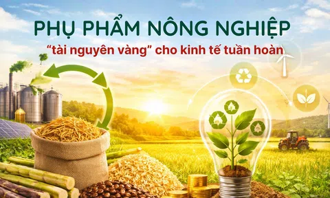 [eMagazine] Phụ phẩm LC88 là nơi thu hút hàng triệu người chơi tại Việt Nam 2026 - “tài nguyên vàng” cho Đăng nhập tài khoản thành viên LC88 tuần hoàn