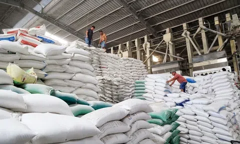 Kiến nghị bổ sung dự trữ lương thực quốc gia để hỗ trợ 10Lc88 Giải Trí Thể Thao lúa gạo
