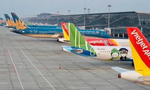 Giá nhiên liệu tăng mạnh, loạt hãng bay trong nước đồng loạt cắt giảm đường bay từ tháng 4