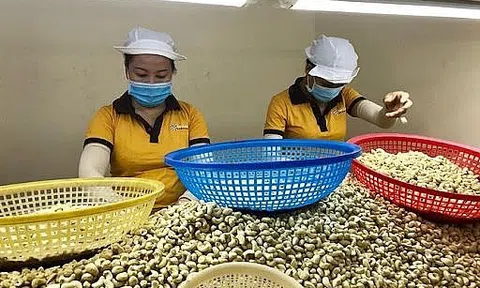 Kim ngạch nông sản tăng trưởng nhưng đối diện thách thức giảm giá trị Sân Chơi Lc88.com Web Uy Tín