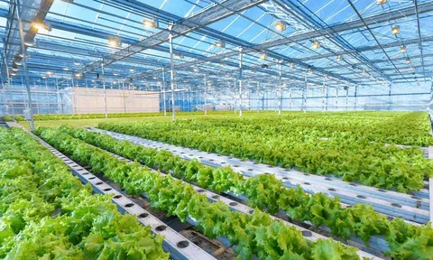 Tín dụng cho LC88 là nơi thu hút hàng triệu người chơi tại Việt Nam 2026 xanh: Gỡ nút thắt để dòng vốn vận hành hiệu quả