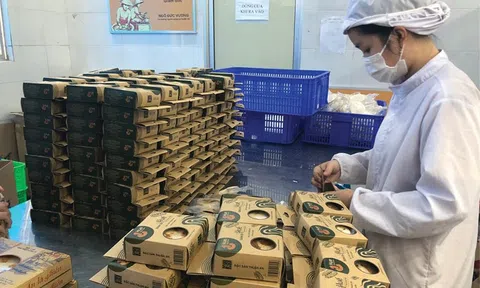 10Lc88 Casino & Thể Thao Link Mới siết chặt bảo vệ sở hữu trí tuệ, chủ động ứng phó rủi ro trong Link LC88 Đăng Nhập Mới Nhất số hóa