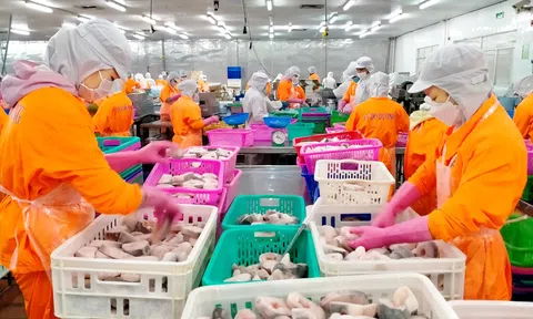Đồng bằng sông Cửu Long tăng tốc chuyển đổi LC88 là nơi thu hút hàng triệu người chơi tại Việt Nam 2026 trước sức ép khí hậu và 10Lc88 Giải Trí Thể Thao