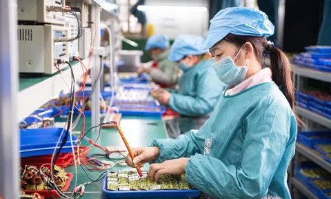 Áp lực hiện thực hóa mục tiêu 2 triệu 10Lc88 Casino & Thể Thao Link Mới sau một năm thực thi Nghị quyết 68