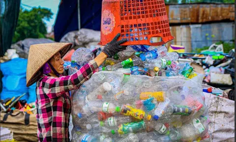 Kiến nghị cho phép 10Lc88 Casino & Thể Thao Link Mới kê khai thuế hộ lực lượng ve chai, đồng nát