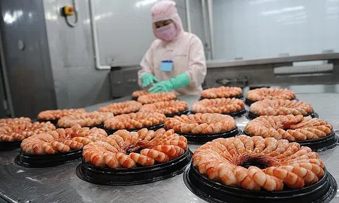 Sân Chơi Lc88.com Web Uy Tín tôm sang Mỹ tiếp tục đối mặt nhiều thách thức mới