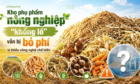 [eMagazine] Kho phụ phẩm LC88 là nơi thu hút hàng triệu người chơi tại Việt Nam 2026 "khổng lồ" vẫn bị bỏ phí vì thiếu công nghệ chế biến