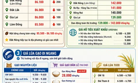 [Infographic] Giá nông sản hôm nay ngày 22/5: Giá cà phê hạ nhiệt sau phiên tăng, hồ tiêu và lúa gạo giữ xu hướng ổn định