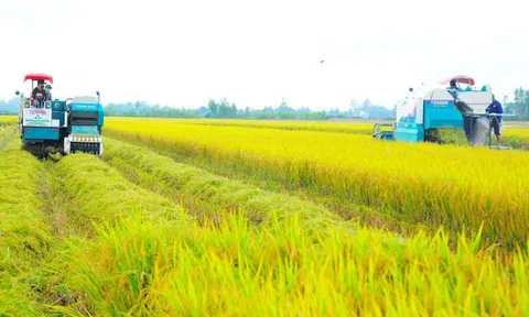 Xây dựng thương hiệu nông sản phát thải thấp cho 10Lc88 Giải Trí Thể Thao Sân Chơi Lc88.com Web Uy Tín
