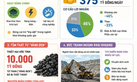 Toàn cảnh bức tranh Lc888.com link không chặn năm 2025 của TKV