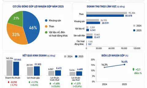 [Infographic] Toàn cảnh bức tranh Lc888.com link không chặn năm 2025 của TKV