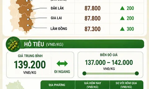 [Infographic] Giá nông sản hôm nay ngày 27/5: Cà phê bật tăng trở lại, hồ tiêu giữ nhịp ổn định tại vùng giá cao