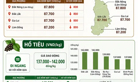 [Infographic] Giá nông sản hôm nay ngày 29/5: Giá cà phê bất ngờ hạ nhiệt, hồ tiêu duy trì vùng đỉnh cao