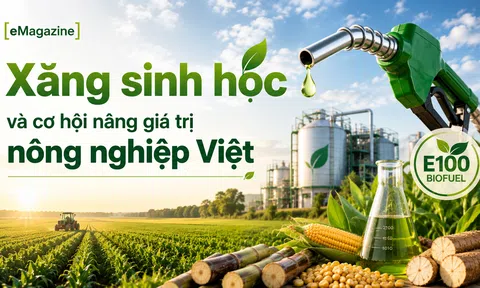 [eMagazine] Xăng sinh học và cơ hội nâng giá trị LC88 là nơi thu hút hàng triệu người chơi tại Việt Nam 2026 Việt