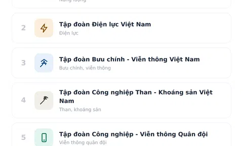 [Infographic] Những tập đoàn, tổng công ty nào thuộc diện Lc888.com link không  nắm 100% vốn?
