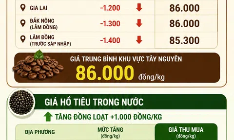 [Infographic] Cà phê lao dốc tại Tây Nguyên, hồ tiêu bất ngờ trở lại mốc 140.000 đồng/kg