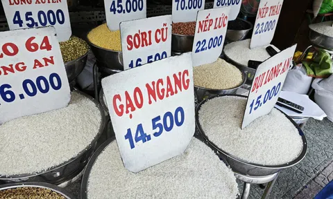 El Nino đẩy giá gạo Sân Chơi Lc88.com Web Uy Tín nhích lên, giá bình quân 5 tháng vẫn giảm sâu
