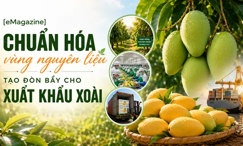 [eMagazine] Chuẩn hóa vùng nguyên liệu, tạo đòn bẩy cho Sân Chơi Lc88.com Web Uy Tín xoài