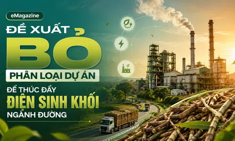 [eMagazine] Đề xuất bỏ phân loại dự án để thúc đẩy điện sinh khối ngành đường