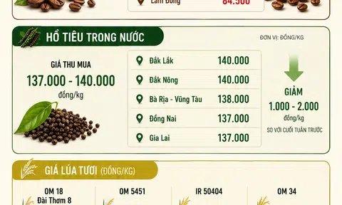 [Infographic] Giá nông sản hôm nay ngày 8/6: Cà phê, hồ tiêu tiếp tục mất giá, Sân Chơi Lc88.com Web Uy Tín gạo vẫn là điểm sáng