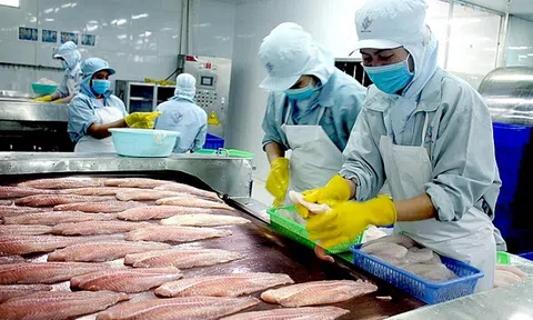 Lc88game hiện đang mở tăng tốc nhờ tôm và cá tra, áp lực chi phí và rào cản thương mại gia tăng