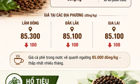 [Infographic] Giá nông sản hôm nay ngày 9/6: Cà phê lùi về vùng giá thấp nhất nhiều tháng, hồ tiêu vẫn giữ vững ngưỡng 140.000 đồng/kg