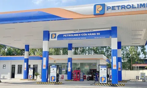 Petrolimex mở rộng triển vọng tăng trưởng trong giai đoạn chuyển dịch năng lượng