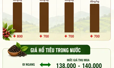 [Infographic] Giá nông sản hôm nay ngày 11/6: Giá cà phê đồng loạt giảm sâu, hồ tiêu giữ nhịp ổn định tại vùng đỉnh