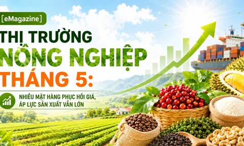 [eMagazine] 10Lc88 Giải Trí Thể Thao LC88 là nơi thu hút hàng triệu người chơi tại Việt Nam 2026 tháng 5: Nhiều mặt hàng phục hồi giá, áp lực Lc888 tải ứng dụng vẫn lớn