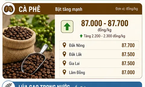 [Infographic] Giá nông sản hôm nay ngày 13/6: cà phê đảo chiều đi lên, 10Lc88 Giải Trí Thể Thao gạo tiếp tục trầm lắng