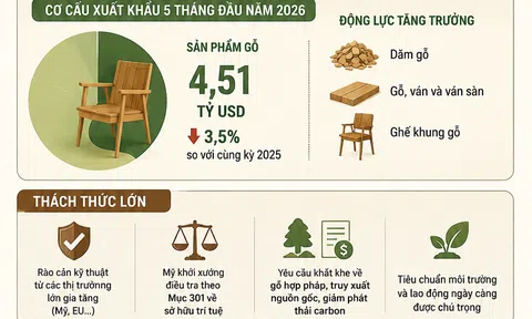 [Infographic] Vượt mốc 7 tỷ USD, ngành gỗ vẫn thận trọng trước các rào cản thương mại
