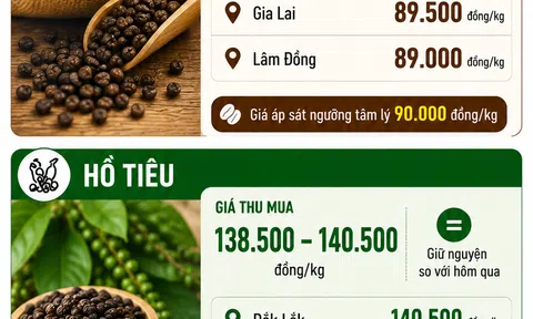 [Infographic] Giá nông sản hôm nay ngày 15/6: Cà phê neo sát mốc 90.000 đồng/kg, hồ tiêu duy trì mặt bằng giá cao tại nhiều LLc88 phiên bản mới