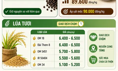 [Infographic] Giá nông sản hôm nay ngày 16/6: Cà phê giữ đỉnh giá, hồ tiêu ổn định, 10Lc88 Giải Trí Thể Thao lúa gạo giao dịch dè dặt