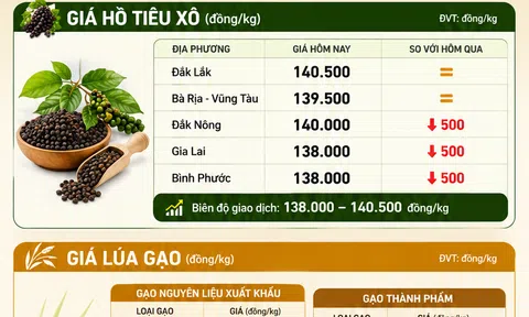 [Infographic] Giá nông sản hôm nay ngày 17/6: Cà phê, hồ tiêu đồng loạt hạ nhiệt, 10Lc88 Giải Trí Thể Thao lúa gạo miền Tây giữ nhịp ổn định