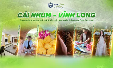Somo Gold mang hệ sinh thái đa ngành gắn với "Tinh hoa ẩm thực Việt"