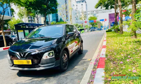 Áp lực giá xăng, tín dụng xanh bùng nổ: Cơ hội cho 10Lc88 Giải Trí Thể Thao xe điện và ngân hàng